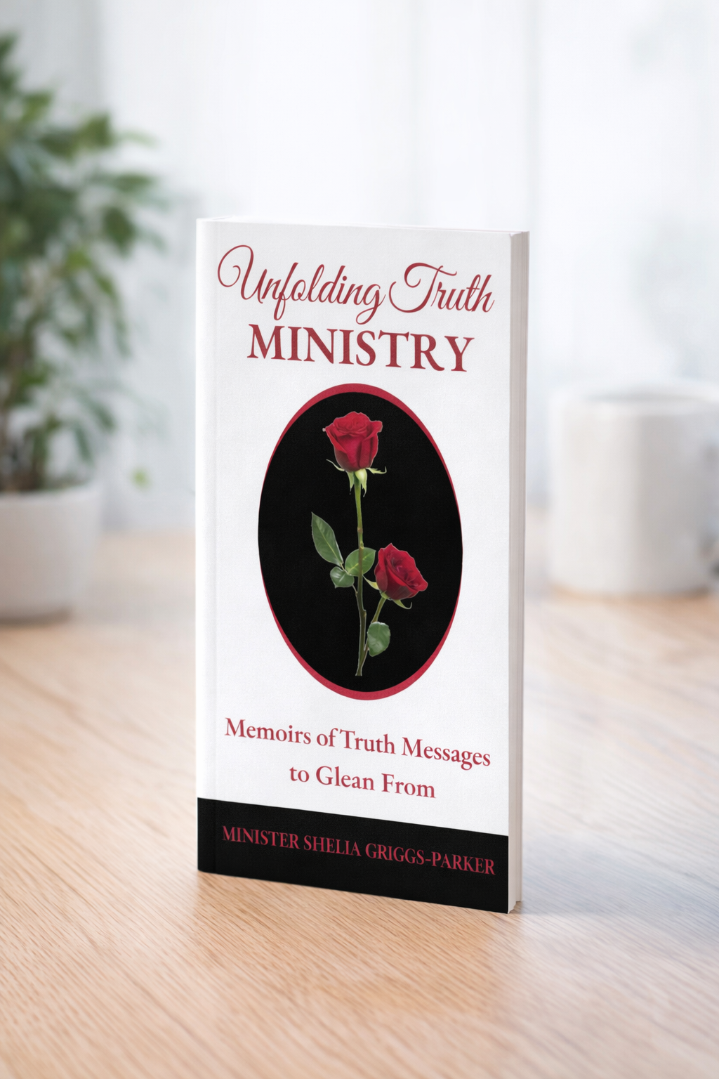 Memoirs of Truth: Messages to Glean From (Paperback)